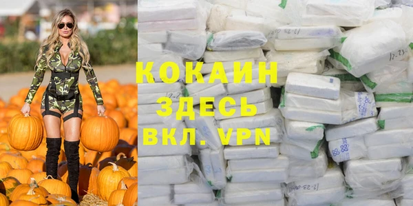 прущие крисы Зеленодольск