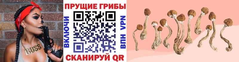 Галлюциногенные грибы GOLDEN TEACHER  Купить  Абдулино 